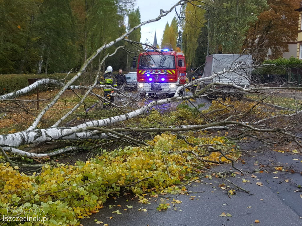 Porywisty wiatr szaleje nad regionem. Strażacy mają pełne ręce roboty
