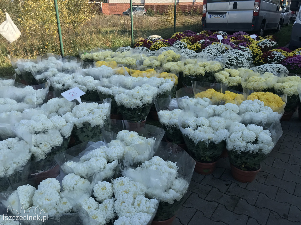 Ile wydamy na 1 listopada? Sprawdziliśmy ceny zniczy i wiązanek