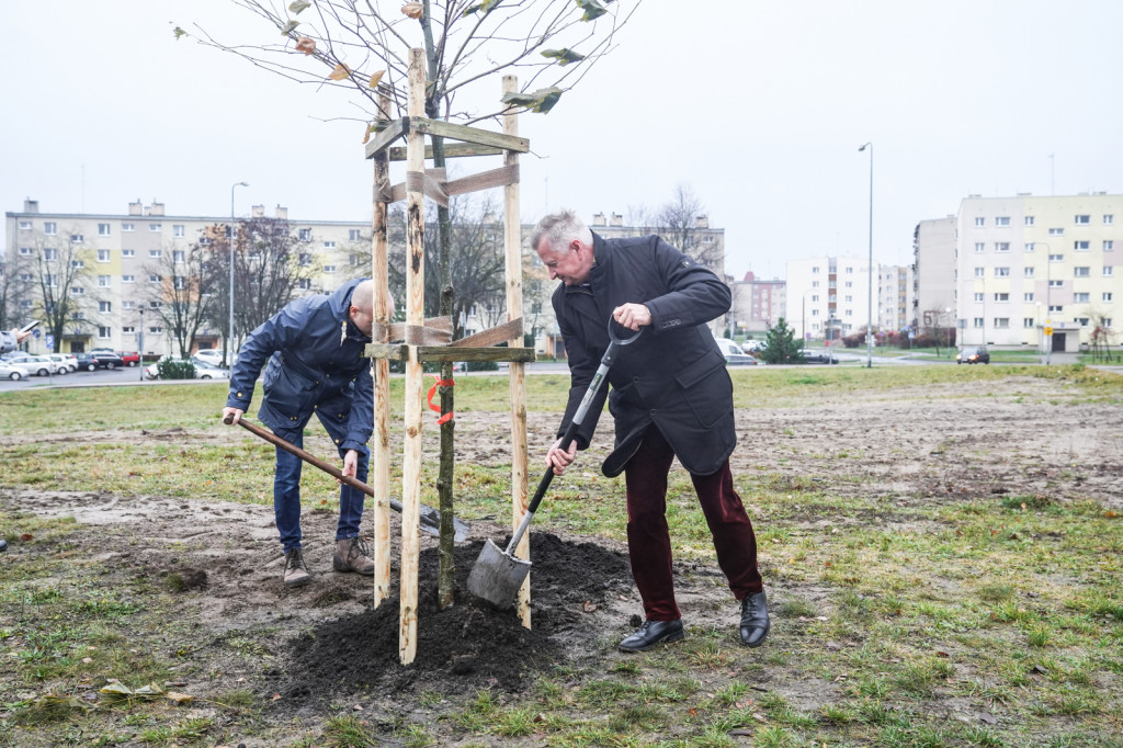 Posadzili nowe drzewa w ramach Roku Ekologicznego na Pomorzu Zachodnim