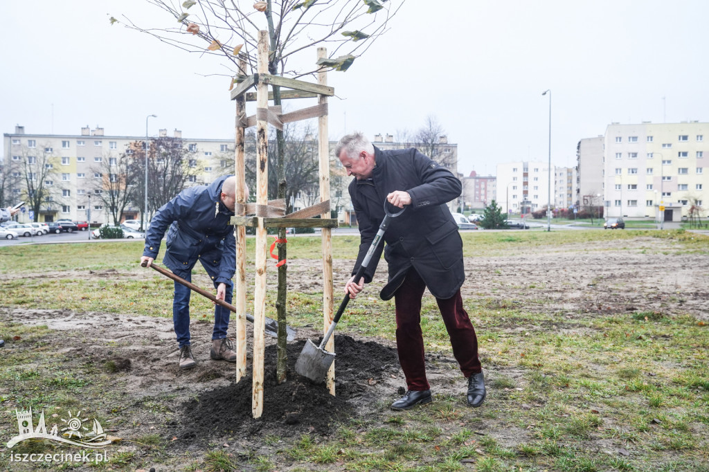 Posadzili nowe drzewa w ramach Roku Ekologicznego na Pomorzu Zachodnim