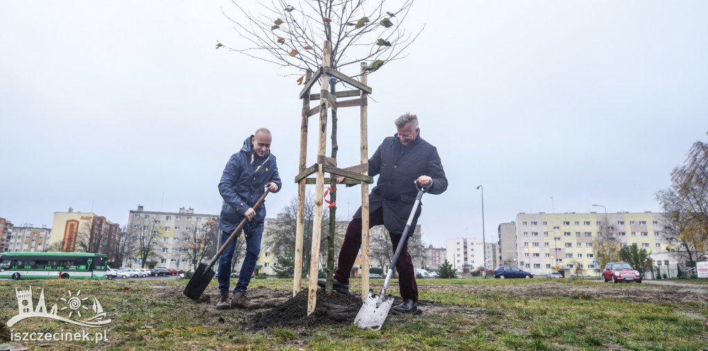 Posadzili nowe drzewa w ramach Roku Ekologicznego na Pomorzu Zachodnim