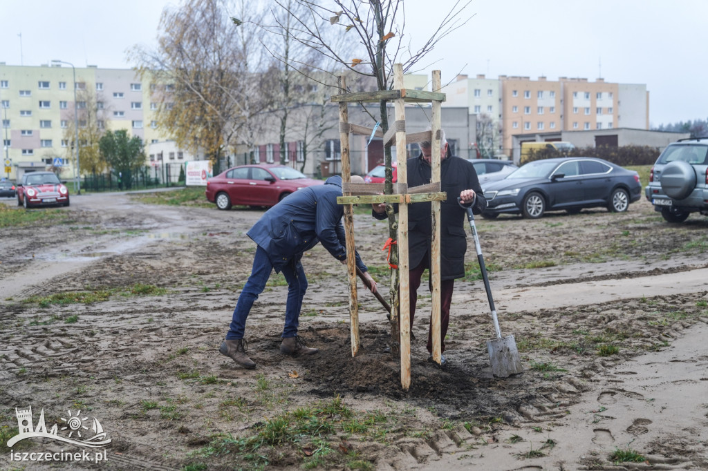 Posadzili nowe drzewa w ramach Roku Ekologicznego na Pomorzu Zachodnim