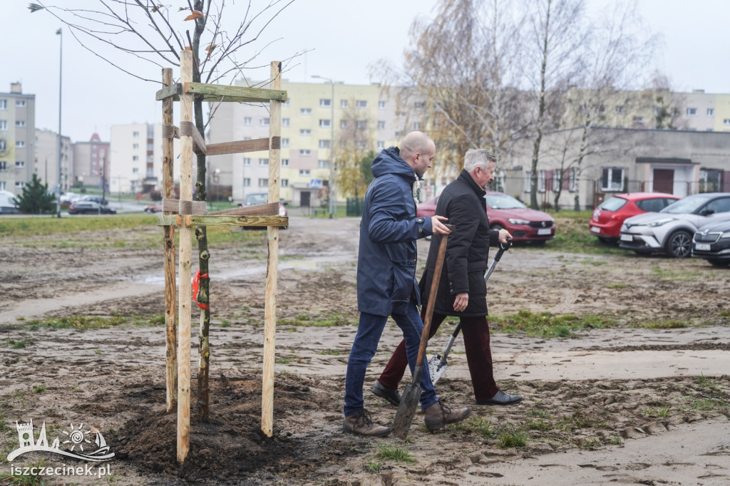 Posadzili nowe drzewa w ramach Roku Ekologicznego na Pomorzu Zachodnim