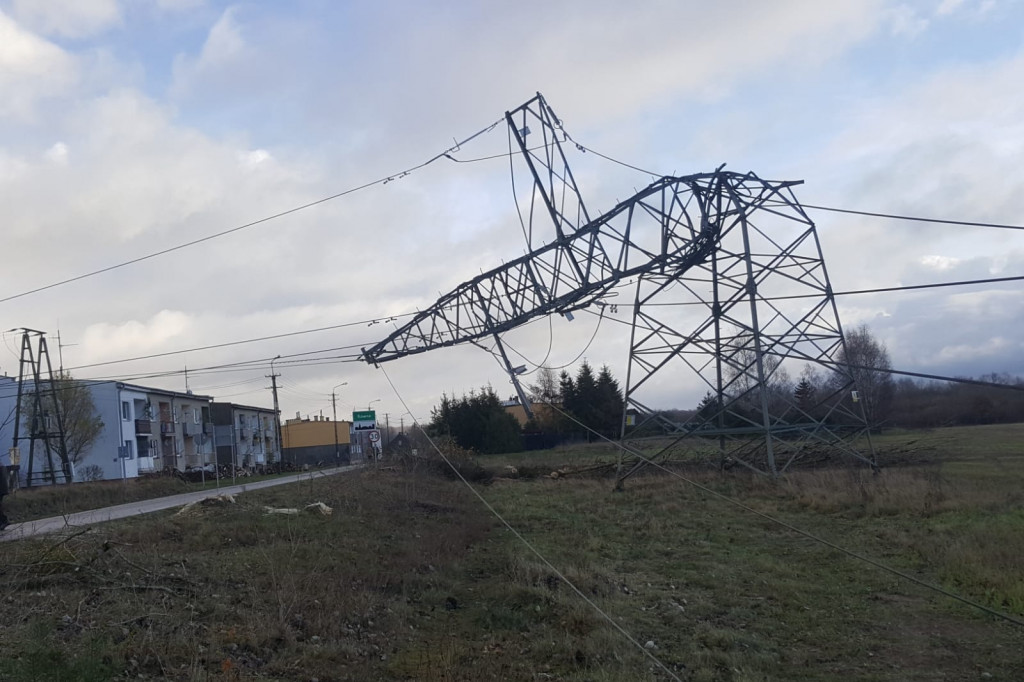 Podczas wycinki drzewo spało na linie wysokiego napięcia