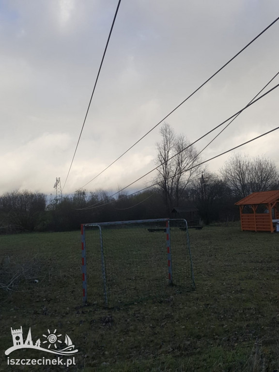 Podczas wycinki drzewo spało na linie wysokiego napięcia