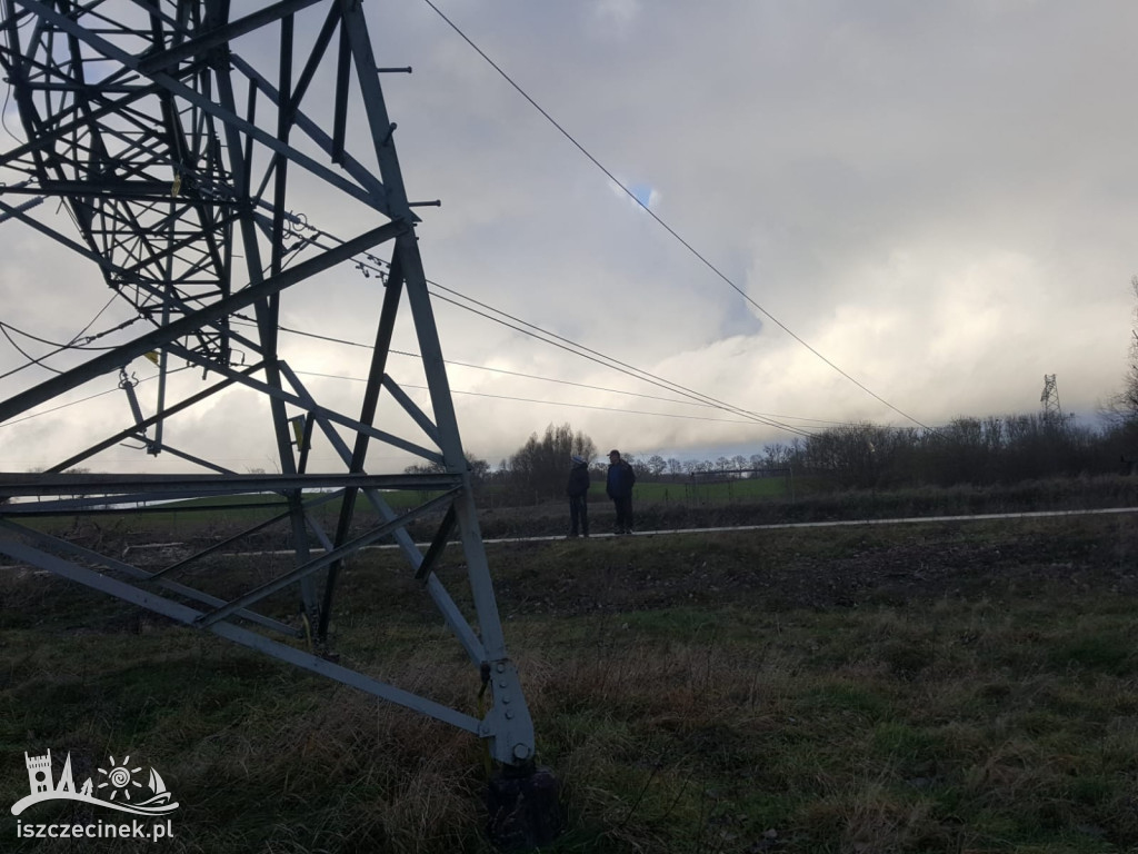 Podczas wycinki drzewo spało na linie wysokiego napięcia