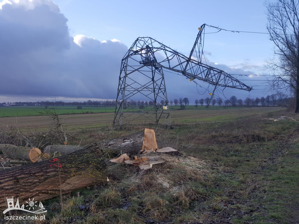 Podczas wycinki drzewo spało na linie wysokiego napięcia