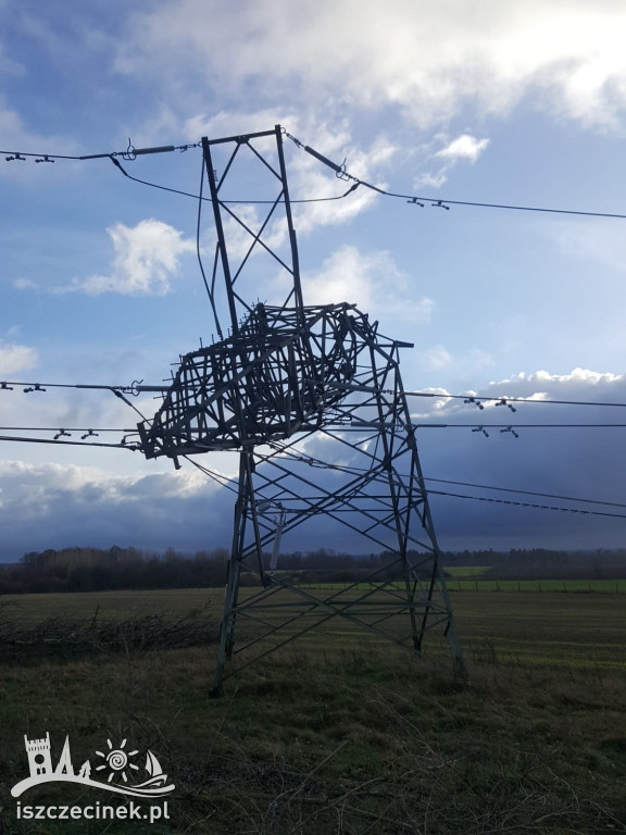 Podczas wycinki drzewo spało na linie wysokiego napięcia
