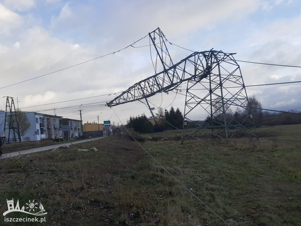 Podczas wycinki drzewo spało na linie wysokiego napięcia