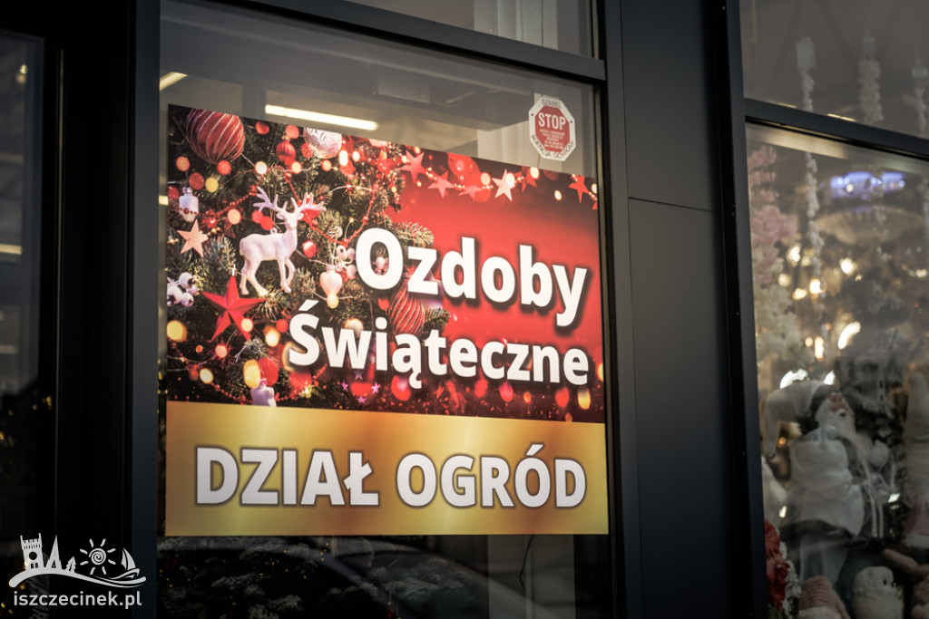 SZCZECINEK. Ozdoby i dekoracje świąteczne w sklepie Mrówka [GALERIA]