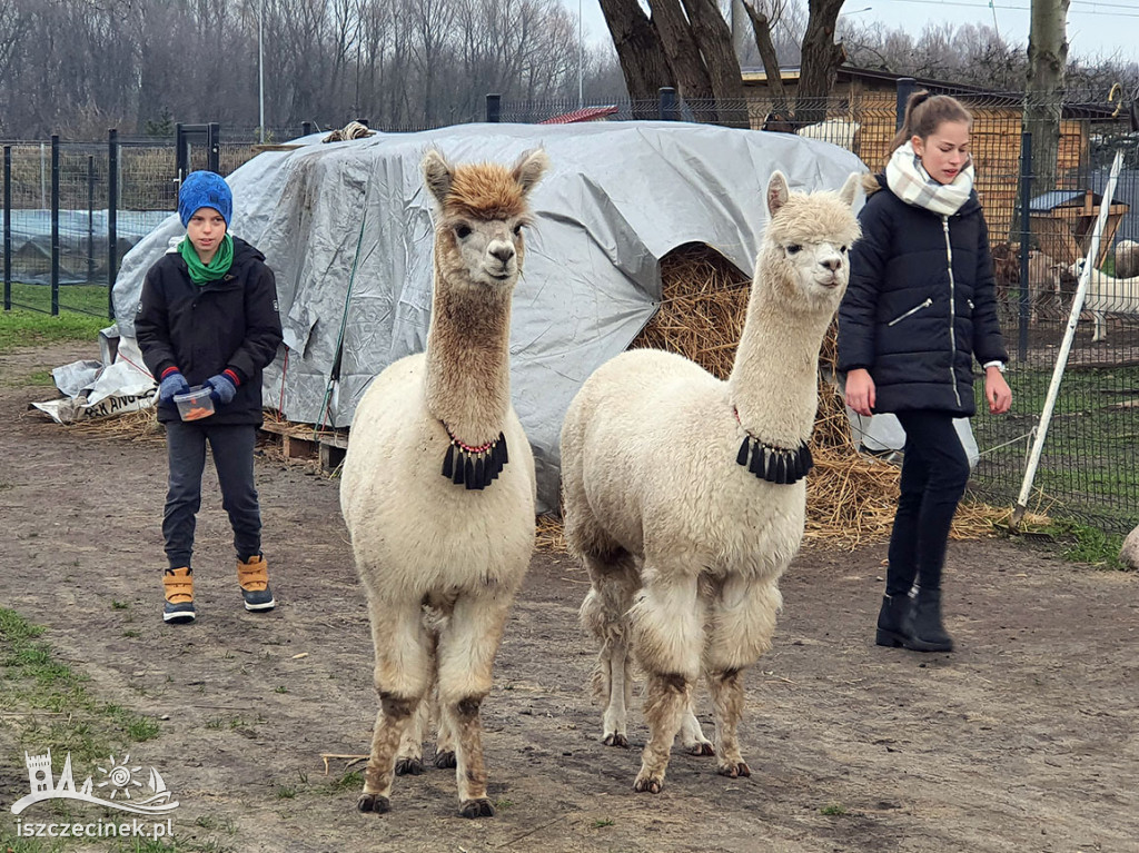 Wróżby, pająki i czarownice, a wszystko w szczytnym celu.