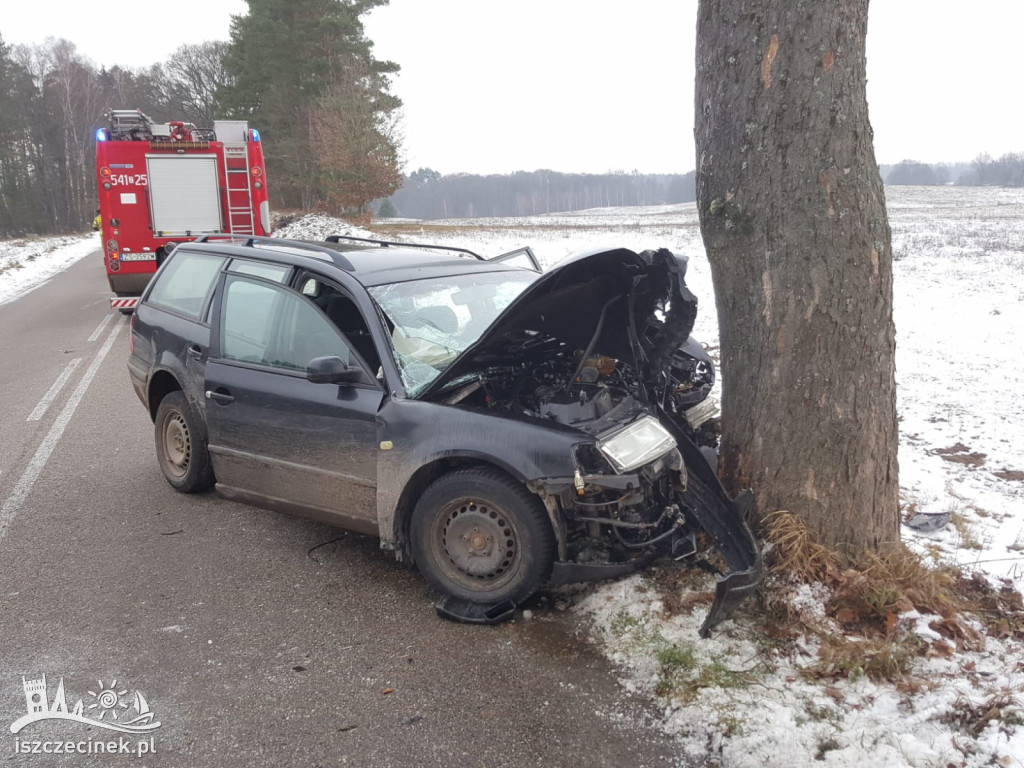 Passat roztrzaskał się na drzewie. Kierowca zabrany do szpitala