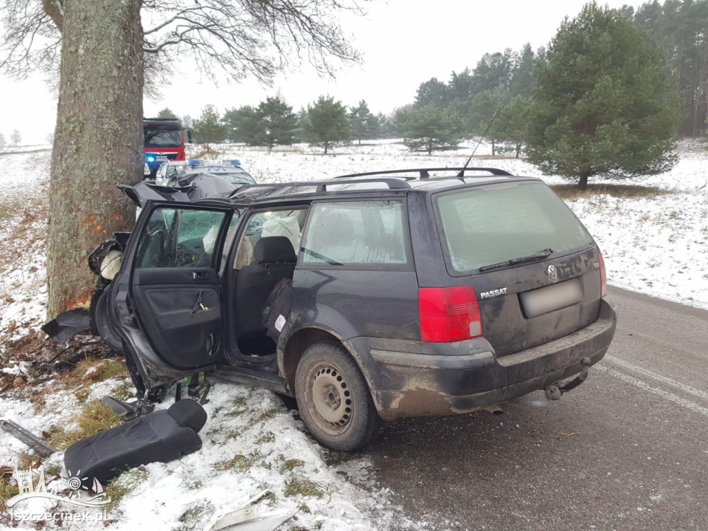 Passat roztrzaskał się na drzewie. Kierowca zabrany do szpitala