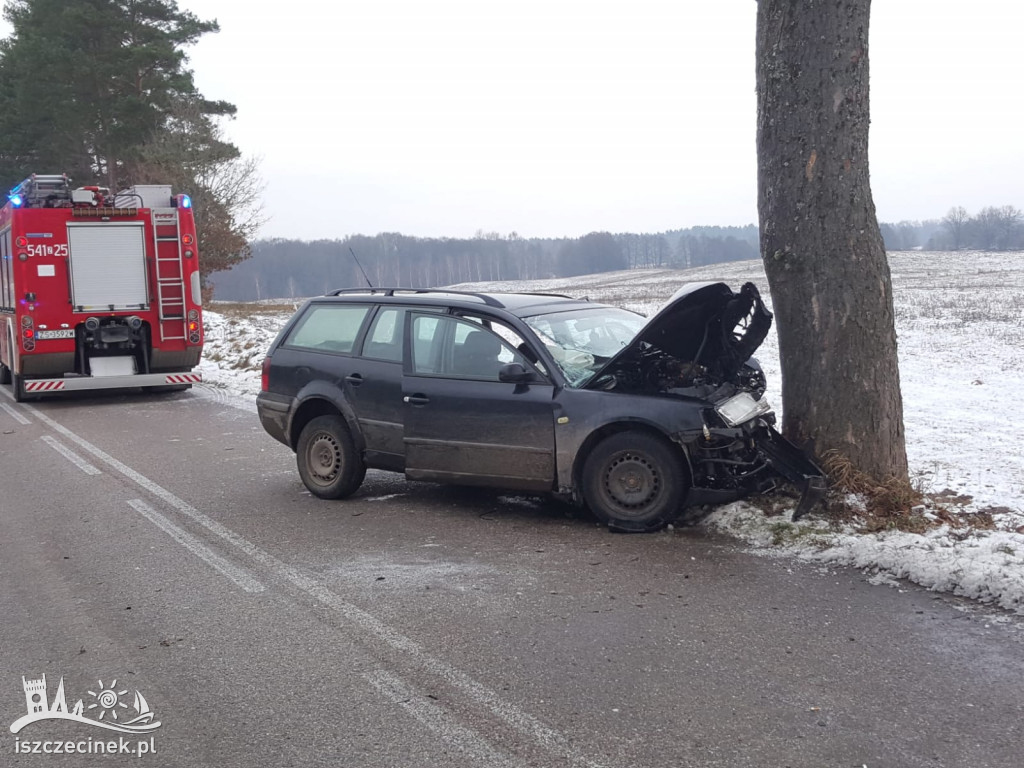 Passat roztrzaskał się na drzewie. Kierowca zabrany do szpitala