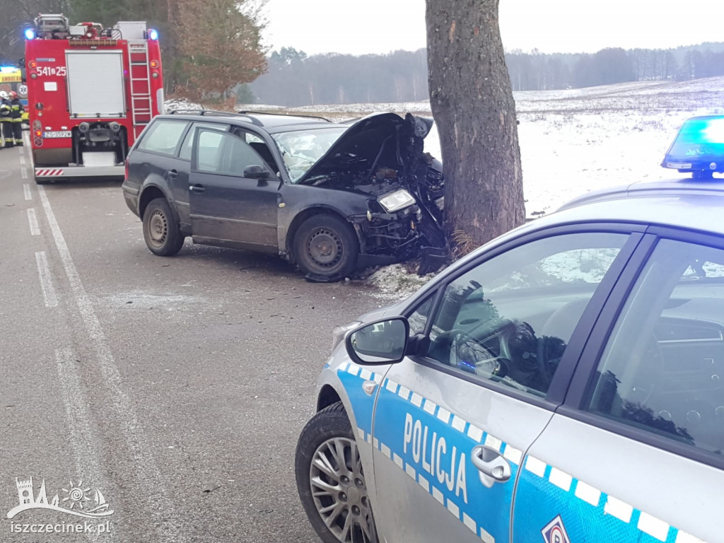 Passat roztrzaskał się na drzewie. Kierowca zabrany do szpitala