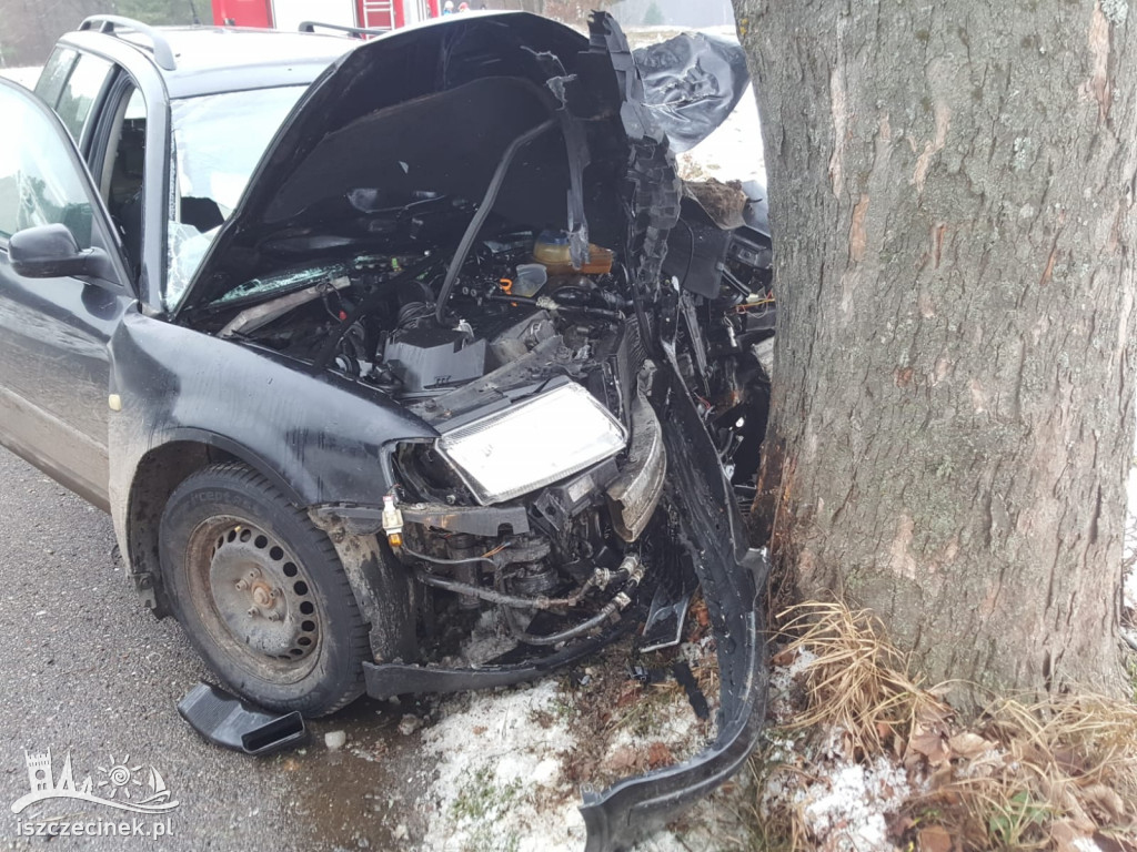 Passat roztrzaskał się na drzewie. Kierowca zabrany do szpitala