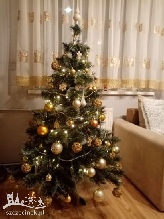 Najpiękniejsze choinki naszych czytelników. Zobaczcie cudowną, świąteczną galerię