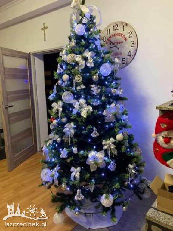 Najpiękniejsze choinki naszych czytelników. Zobaczcie cudowną, świąteczną galerię