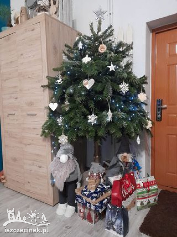 Najpiękniejsze choinki naszych czytelników. Zobaczcie cudowną, świąteczną galerię