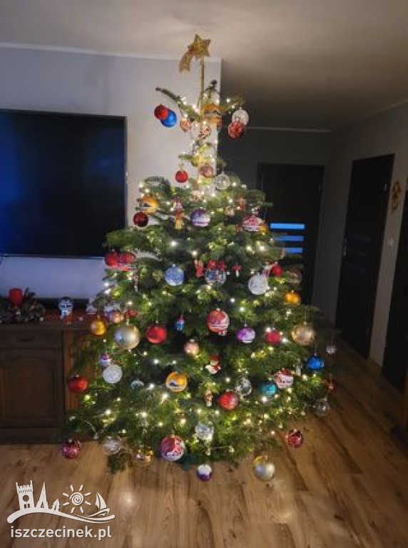 Najpiękniejsze choinki naszych czytelników. Zobaczcie cudowną, świąteczną galerię