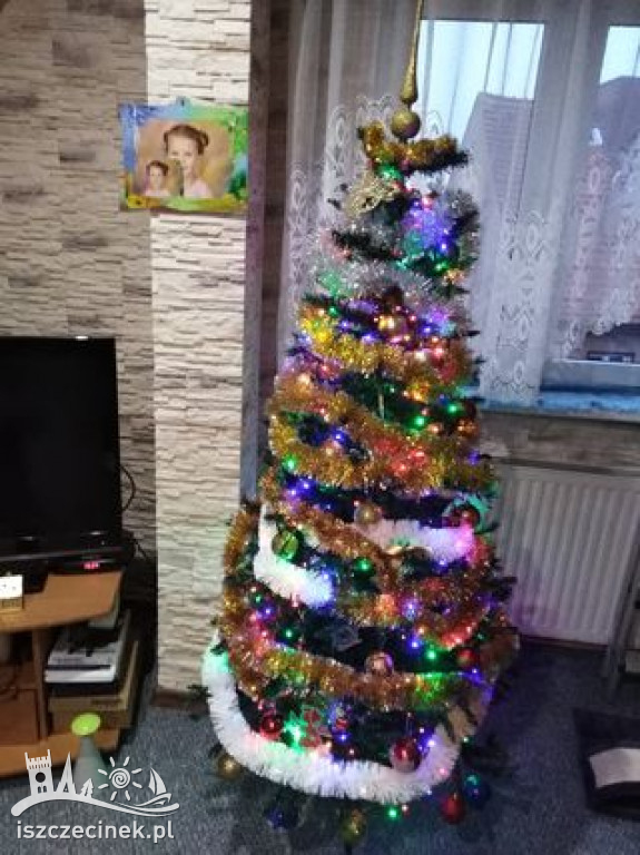 Najpiękniejsze choinki naszych czytelników. Zobaczcie cudowną, świąteczną galerię