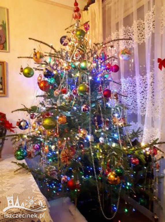 Najpiękniejsze choinki naszych czytelników. Zobaczcie cudowną, świąteczną galerię
