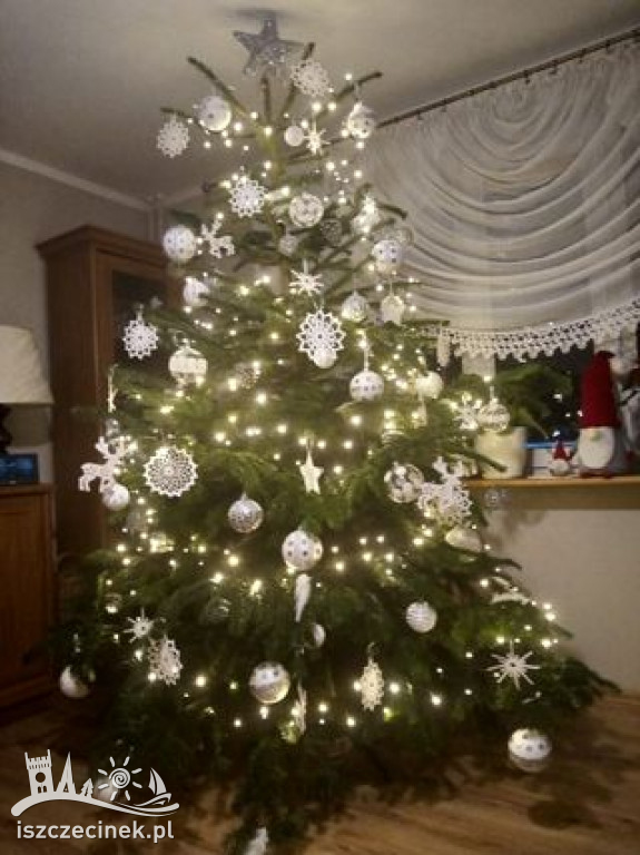 Najpiękniejsze choinki naszych czytelników. Zobaczcie cudowną, świąteczną galerię