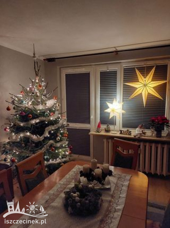 Najpiękniejsze choinki naszych czytelników. Zobaczcie cudowną, świąteczną galerię