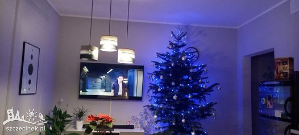 Najpiękniejsze choinki naszych czytelników. Zobaczcie cudowną, świąteczną galerię