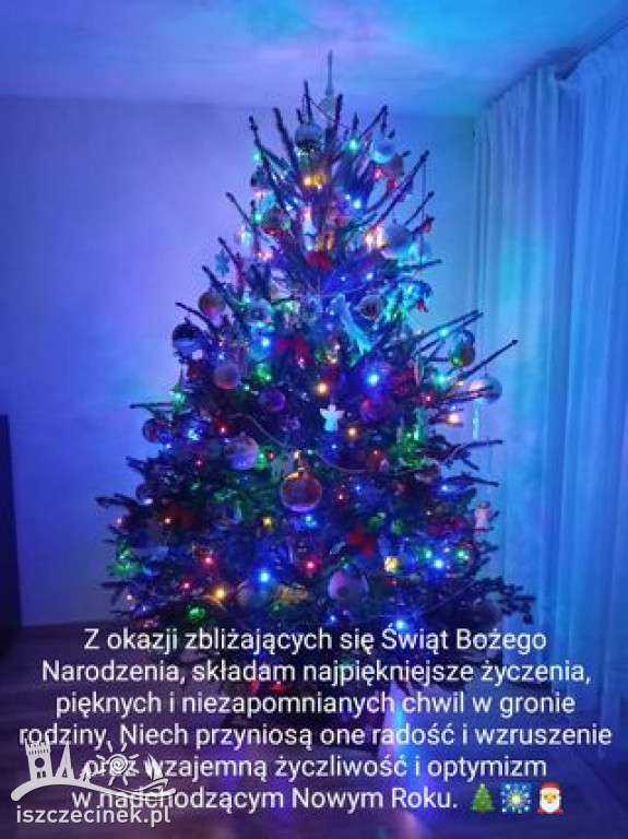 Najpiękniejsze choinki naszych czytelników. Zobaczcie cudowną, świąteczną galerię