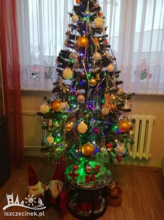 Najpiękniejsze choinki naszych czytelników. Zobaczcie cudowną, świąteczną galerię