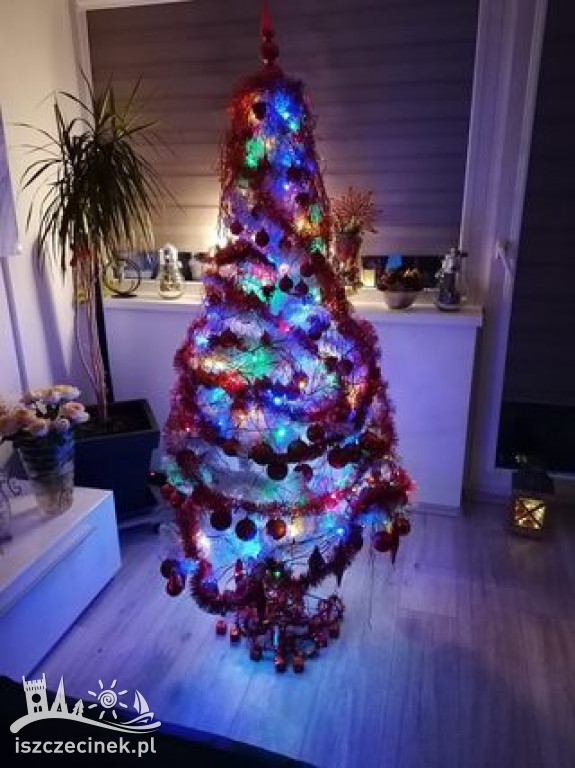 Najpiękniejsze choinki naszych czytelników. Zobaczcie cudowną, świąteczną galerię