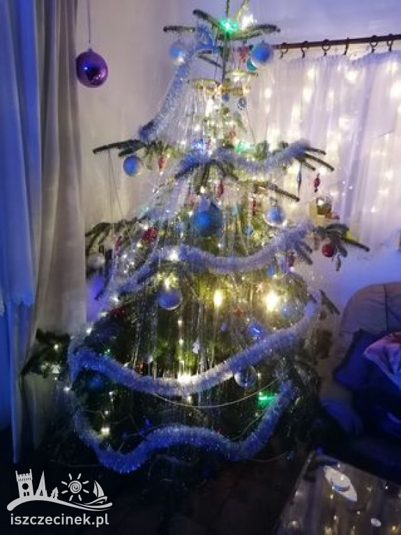 Najpiękniejsze choinki naszych czytelników. Zobaczcie cudowną, świąteczną galerię