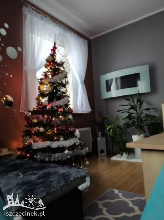 Najpiękniejsze choinki naszych czytelników. Zobaczcie cudowną, świąteczną galerię