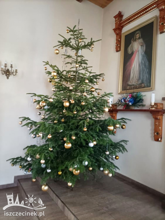 Kościół pw. Matki Boskiej Królowej Polski w Polnem