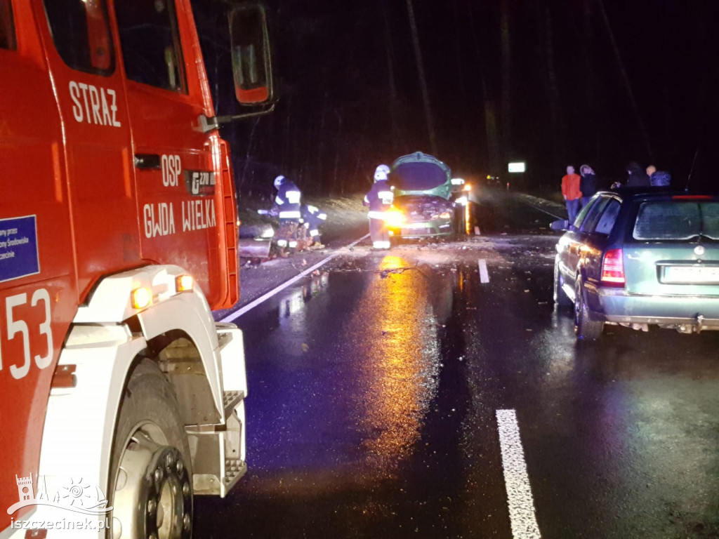 Drzewa spadły na jadący samochód