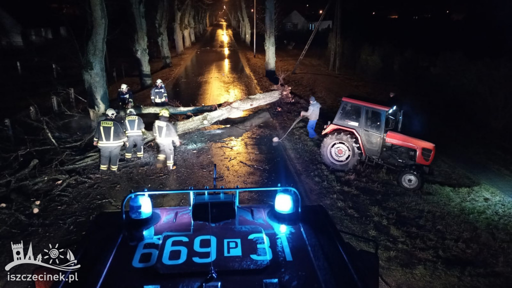 Drzewa spadły na jadący samochód