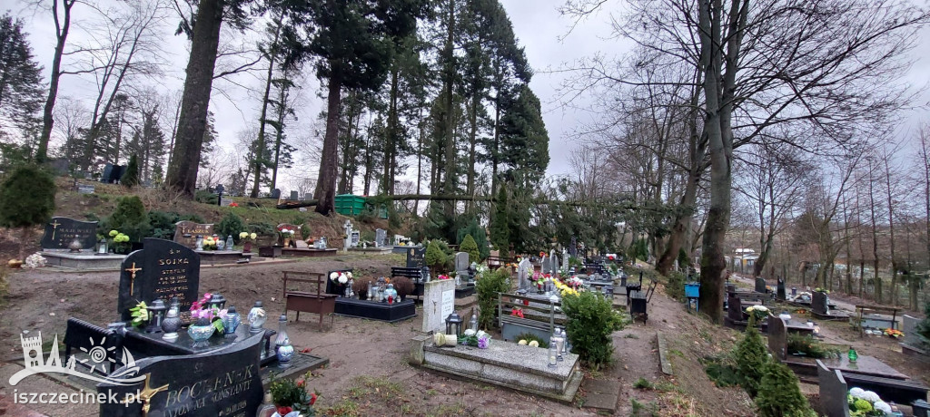 Wichura poprzewracała drzewa na cmentarzu