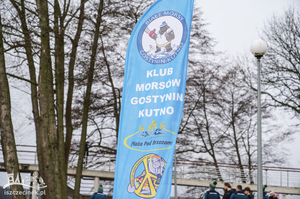 Morsy z Kutna i Gostynina na porannej kapieli w Szczecinku