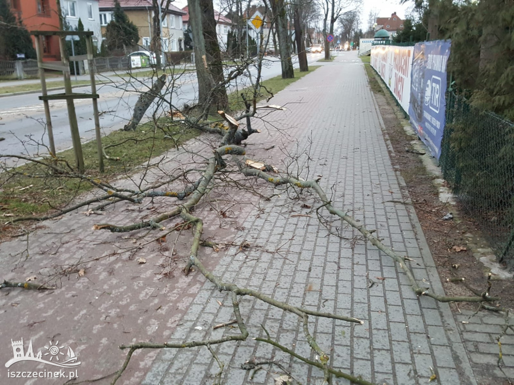 Wichura w Szczecinku i regionie [FOTORELACJA]