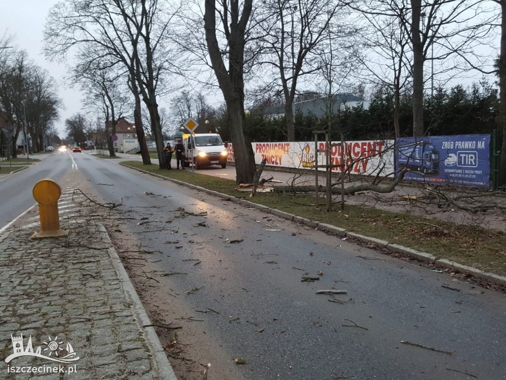 Wichura w Szczecinku i regionie [FOTORELACJA]