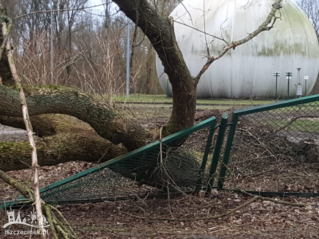 Wichura w Szczecinku i regionie [FOTORELACJA]