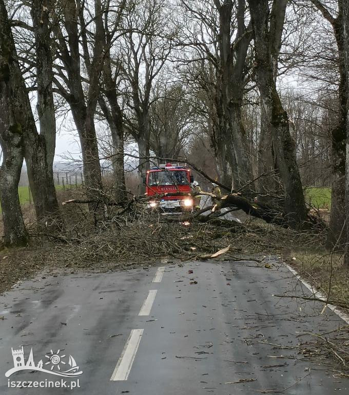 Wichura w Szczecinku i regionie [FOTORELACJA]