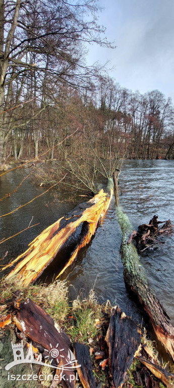 Wichura w Szczecinku i regionie [FOTORELACJA]