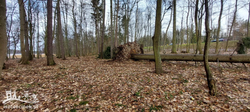 Wichura w Szczecinku i regionie [FOTORELACJA]