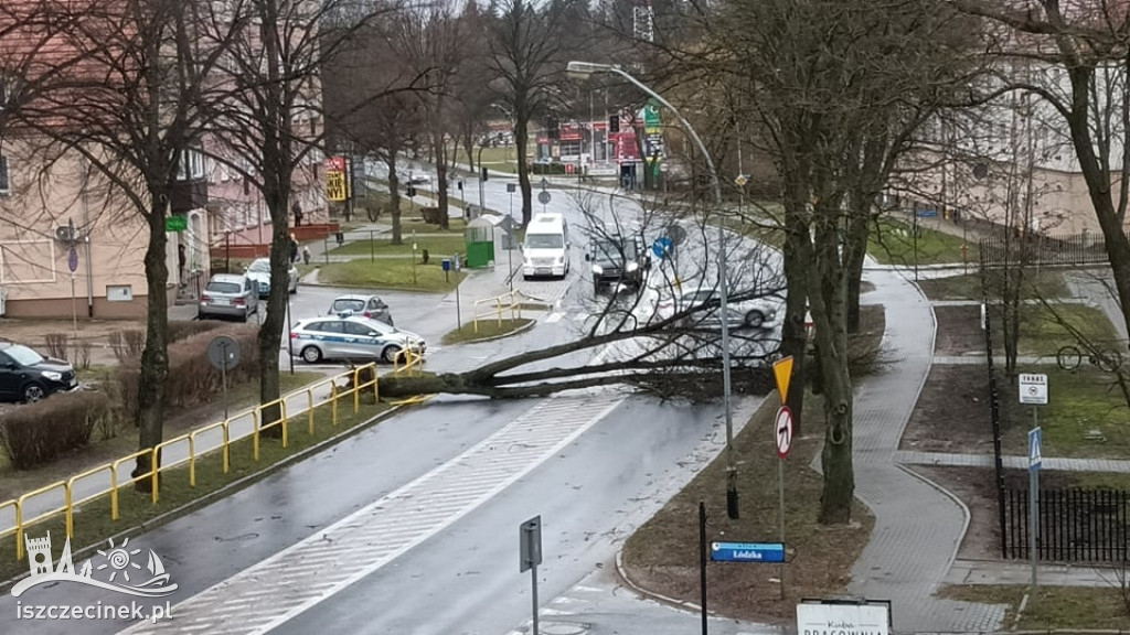Wichura w Szczecinku i regionie [FOTORELACJA]