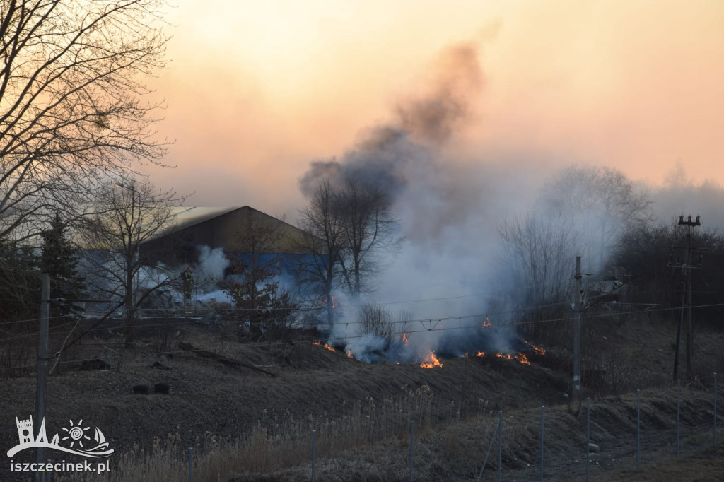 Kłęby czarnego dymu na Koszalińskiej. Od pożaru trawy zajęła się hala