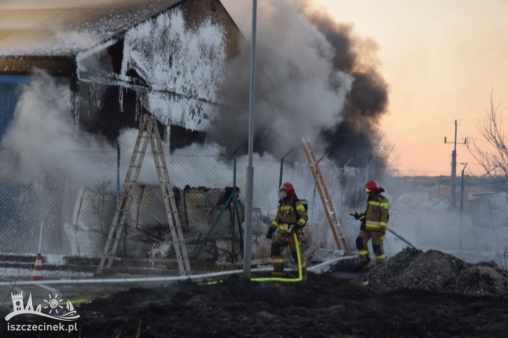 Kłęby czarnego dymu na Koszalińskiej. Od pożaru trawy zajęła się hala