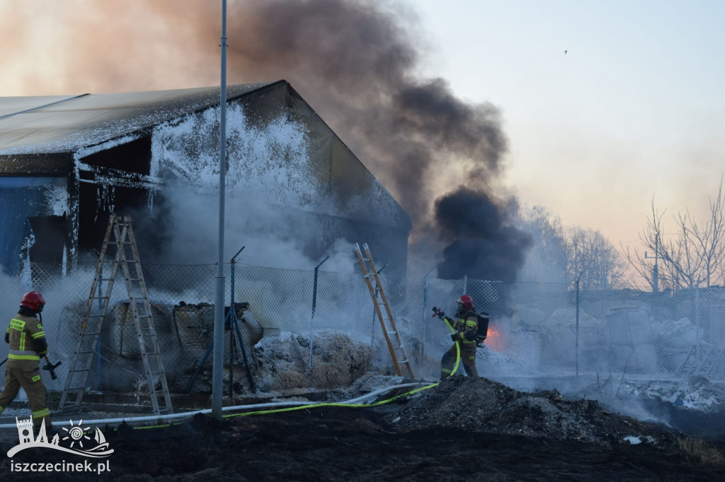 Kłęby czarnego dymu na Koszalińskiej. Od pożaru trawy zajęła się hala