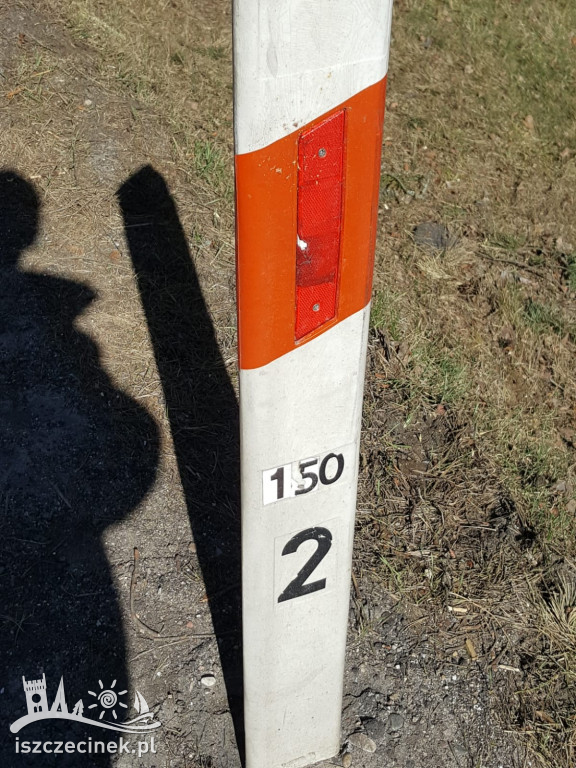 Zderzenie dwóch ciężarówek na DK20.